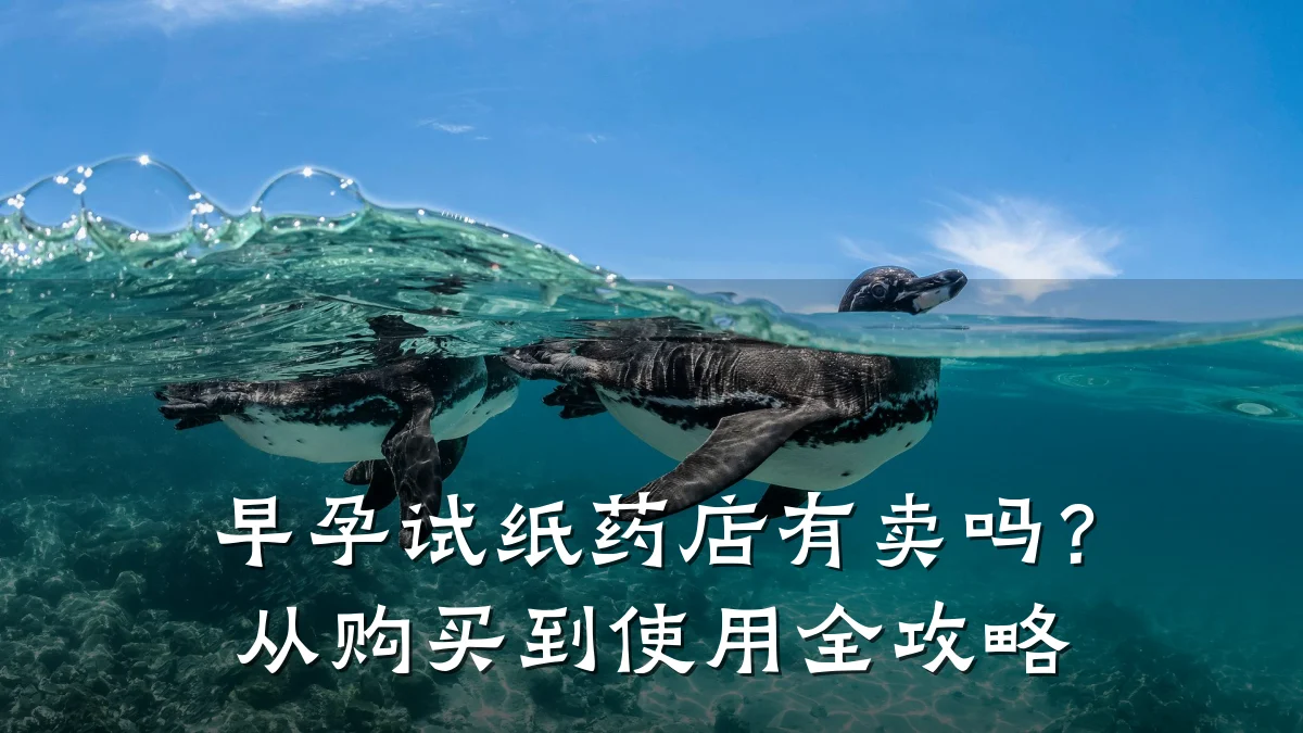 早孕试纸药店有卖吗？从购买到使用全攻略