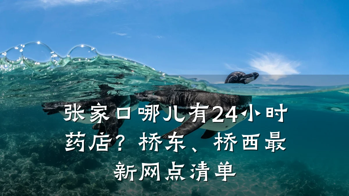 张家口哪儿有24小时药店?桥东、桥西最新网点清单