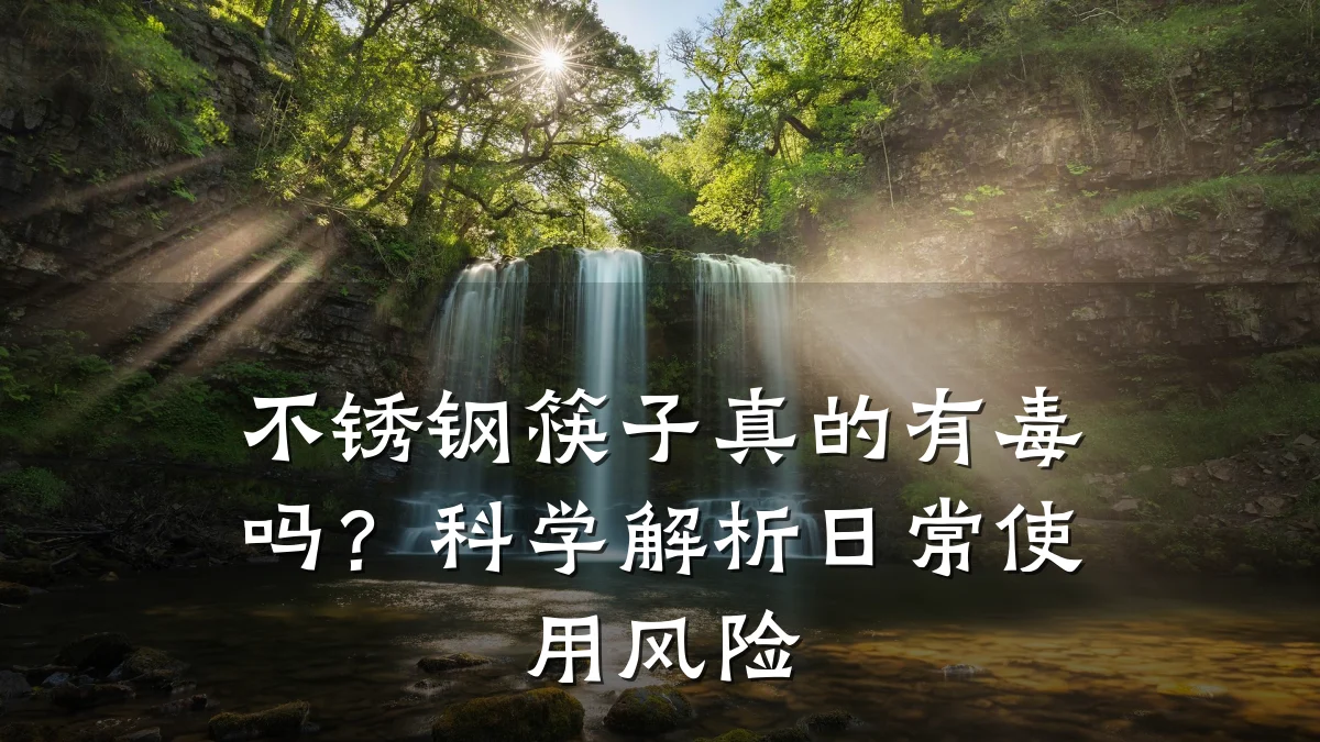 不锈钢筷子真的有毒吗?科学解析日常使用风险
