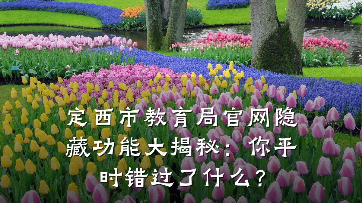定西市教育局官网隐藏功能大揭秘：你平时错过了什么？