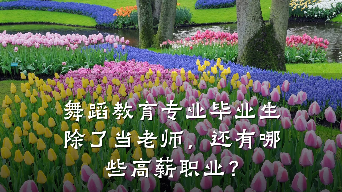舞蹈教育专业毕业生除了当老师，还有哪些高薪职业？