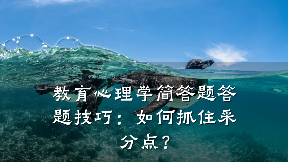 教育心理学简答题答题技巧:如何抓住采分点?