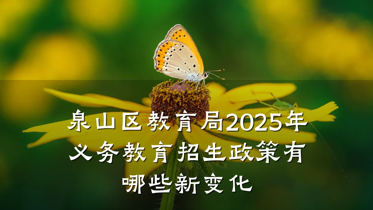 泉山区教育局2025年义务教育招生政策有哪些新变化