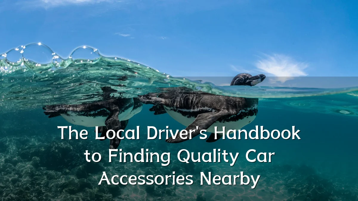 The Local Driver's Handbook to Finding Quality Car Accessories Nearby