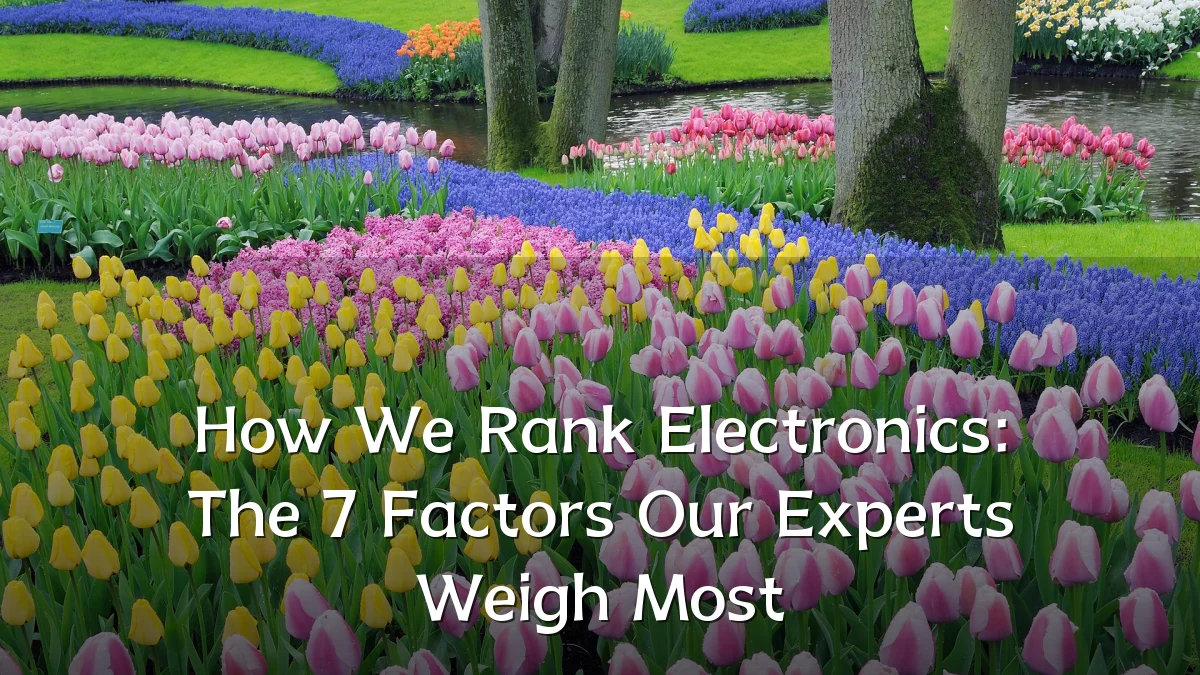 How We Rank Electronics: The 7 Factors Our Experts Weigh Most