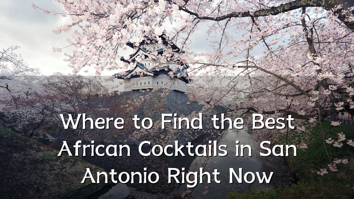 Where to Find the Best African Cocktails in San Antonio Right Now