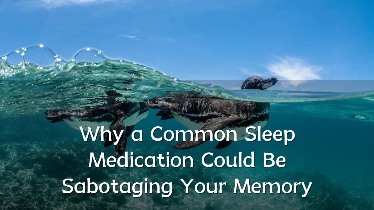 Why a Common Sleep Medication Could Be Sabotaging Your Memory
